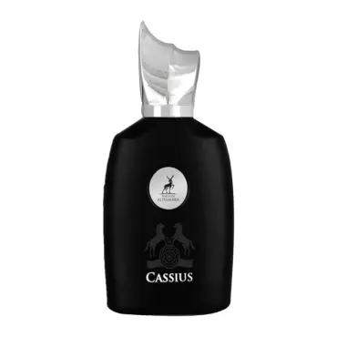 Parfum pentru bărbați Maison Alhambraa Cassius EDP 100 ml.