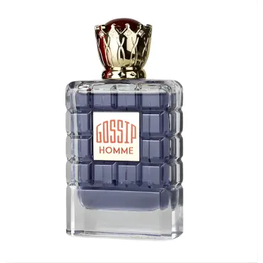 Parfum bărbătesc My Perfumes Gossip Home EDP 100 ml.